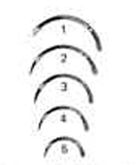 Lane Cleft Palate, 1/2 Circle Edge, #1-108-056FSI