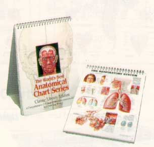 Anatomical Chart Series Desk Easel-511ANAMM