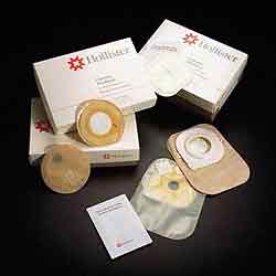 ISG HOL-Firstchoice-gr-ISG HOL-Firstchoice-gr