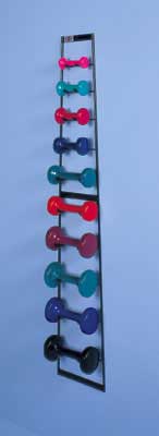 Economy Wall Dumbbell Rack with weights-001-5555HSM