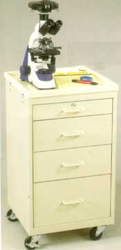 Economy Cart-B-424-PVM