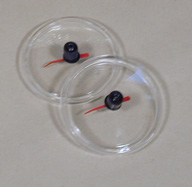 Replacement Crystals - Max Hold Pointers-XAM-851-PACA