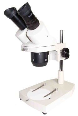 Paragon Stereo Pole Mount (no light)-31-RAPLW