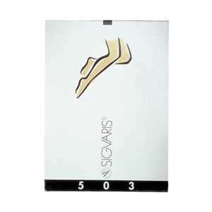 ISG SGV-503C-si-ISG SGV-503C-si