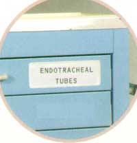 Label Holder, 7 x 2-3-HLT