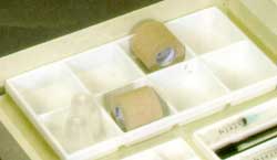 Cart Tray