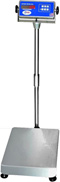 WWS Series Digital Column Weighing Scales - 100 lbs. Capacity-SWW