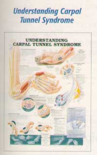 Anatomical Charts-302ANAMM