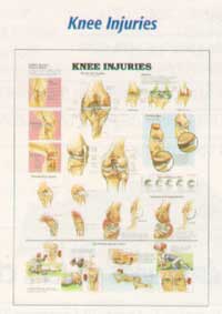 Anatomical Charts-702ANAMM