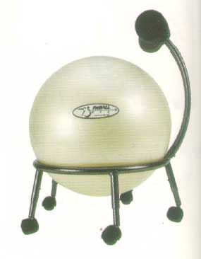 Fitball Cahir-311DABMM
