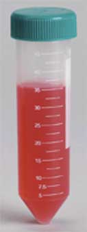 Conical Centrifuge Tubes 50 ml-5244SHNYDMD