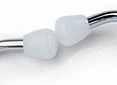 White Hard Ear Tips, for Riester Stethoscopes-01111GUR