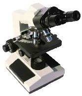 Binocular Microscope