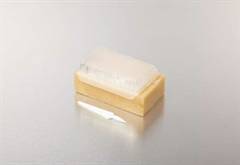 CHG Scrub Brush