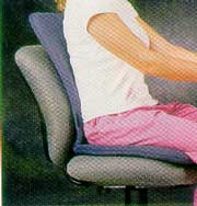 Lumbar Support with Seat Cushion