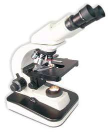 Binocular Microscope