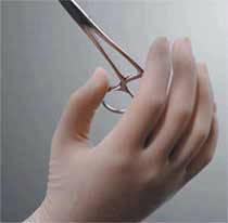 Neoprene Surgical Gloves