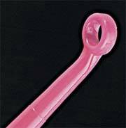 Disposable Red AngleLoop Adult Ear Curettes
