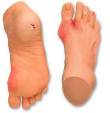 Life-Size Foot Model