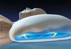 Therapeutic Waterbase Pillow