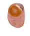 8in. Closed Colostomy/Ileostomy Cut-to-fit Pouch with Filter
