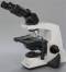 Binocular Compound Phase Contrast Microscope