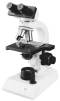Binocular Microscopes