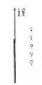 Buck Ear Curette, Blunt, Straight, #2