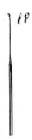 Buck Ear Curette, Sharp, Angled, #2