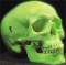 Classic Neon Skull