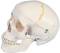 Classic Numbered Three Part Skull