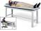 2-in1 Treatment & Work Table