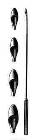 Desjardin Gall Stone Scoop, 27 Fr., 11 in