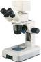 Digital Educational Stereo Microscope