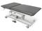Electric hi-lo bo-bath table