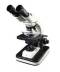 Binocular Microscope