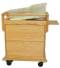 Maternity Bassinet