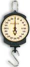Mechanical Patient Lift Scale