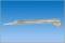 Miller Laryngoscope Blades