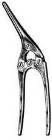 Payr Pylorous Clamp, Baby, 6in