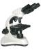 Physician Binocular Microscopes