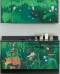 Rainforest Follies Themed Pediatric Cabinet Set