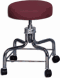 Revolving Exam Stool