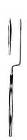 Sexton Ear Knife, Angled, 7in