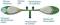 Sleep Strip Disposable Sleep Apnea Screener