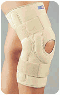 Stabilizing Knee Brace with Composite Hinges