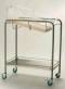 Stainless Steel Bassinet w/ Bottom Shelf & Rails
