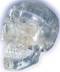 Transparent Classic Three Part Skull