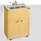 Triple Basin Portable Sink w/ Stainless Steel Top