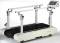 Woodway Bariatrics Tread-Ergometer with Parallel Bar Handrail System